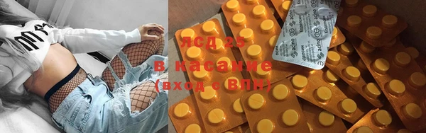 индика Арсеньев