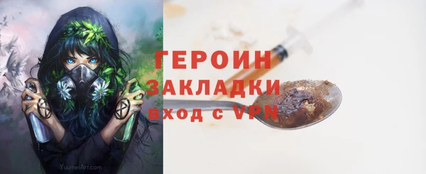 индика Арсеньев