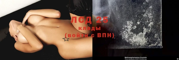 индика Арсеньев