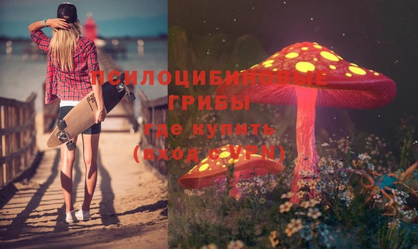 индика Арсеньев
