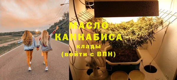 индика Арсеньев
