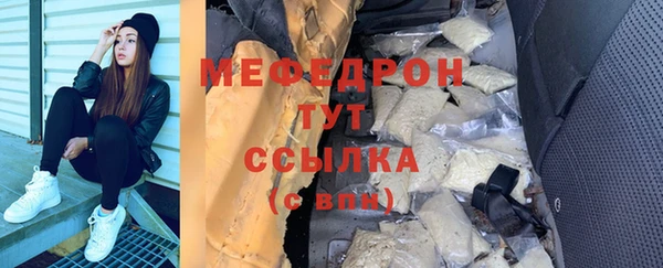 индика Арсеньев