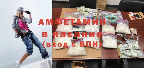 индика Арсеньев