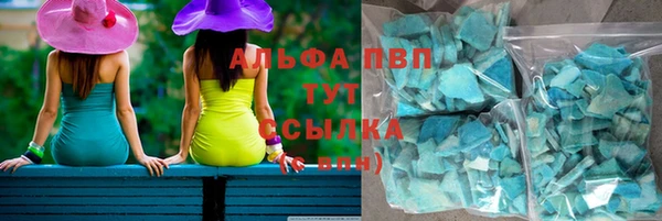 индика Арсеньев